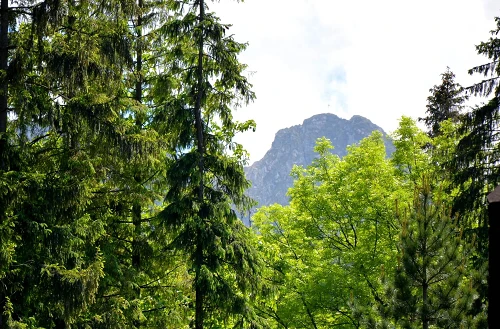 Blick auf die Berge von der Herberge
